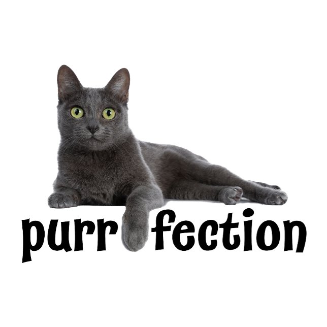 Purrfection Cat Chilling Out T-Shirt (Creator Uploaded)
