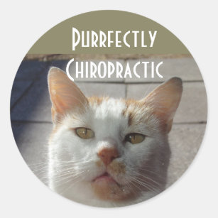 Purrfectly Chiropractic Stickers