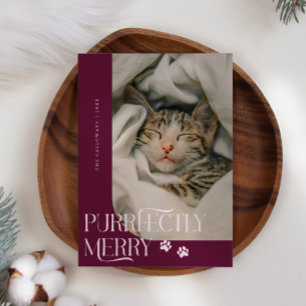 Purrfectly Merry Cat Photo Cranberry Christmas Holiday Card