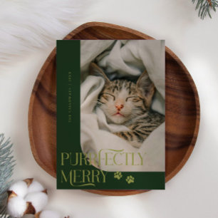 Purrfectly Merry Cat Photo Green Christmas Holiday Card