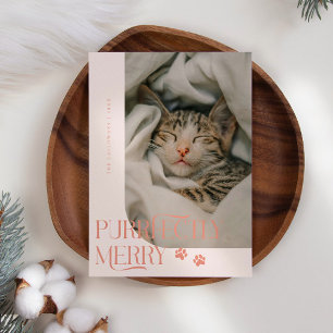 Purrfectly Merry Cat Photo Peach Christmas Holiday Card