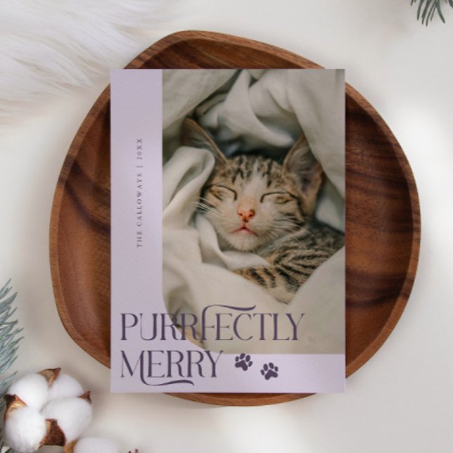 Purrfectly Merry Cat Photo Purple Christmas Holiday Card (Creator Uploaded)