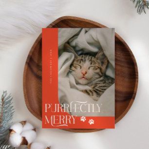 Purrfectly Merry Cat Photo Red Christmas Holiday Card
