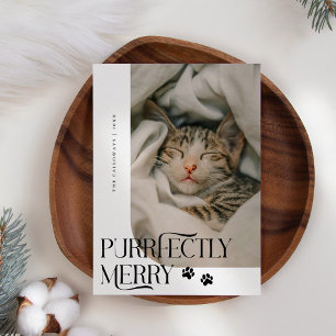 Purrfectly Merry Cat Photo White Christmas Holiday Card