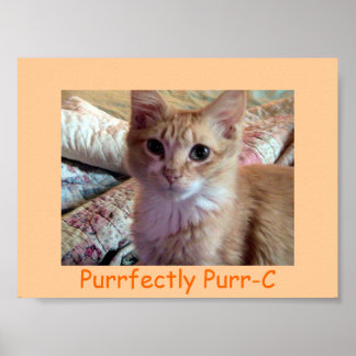 PURRFECTLY PURR-C Poster