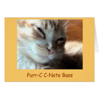 Purrfectly Purr-C, Purr-C C-Note Bass - Customised