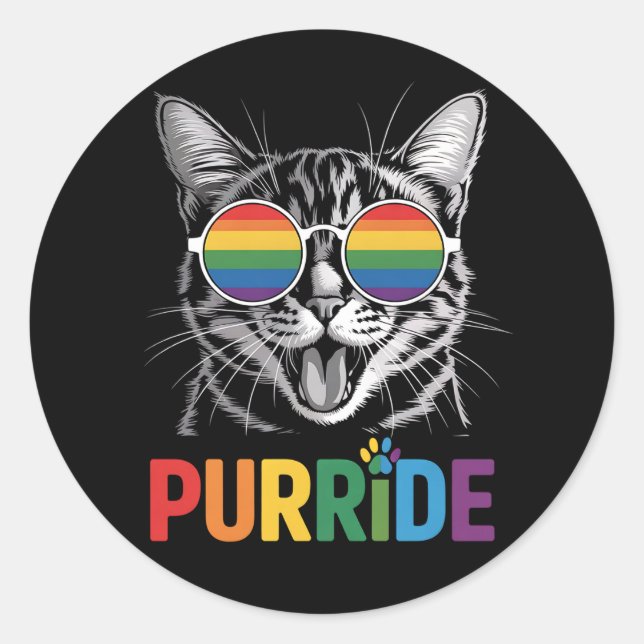 Purride Cat Gay Lesbian Rainbow LGBTQ Ally Pride Classic Round Sticker (Front)