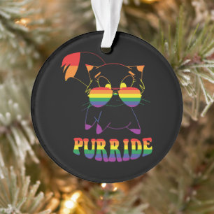 Purride   Cute Gay Cat   Lesbian   Rainbow Ornament