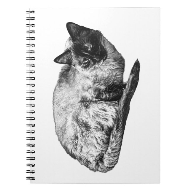Purring in shaded stillness notebook (Front)