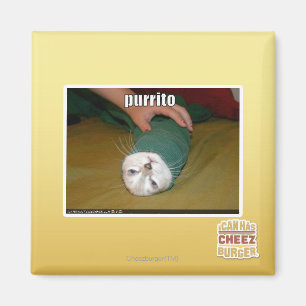 purrito magnet