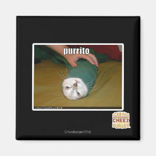 purrito magnet