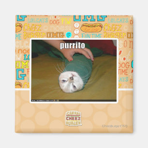purrito magnet