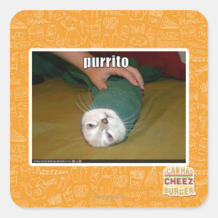 purrito square sticker