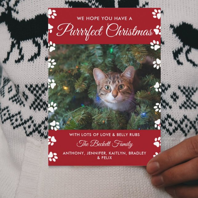 Purrrfect Christmas | Cat Holiday Photo Card (Creator Uploaded)
