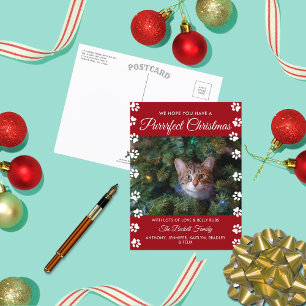 Purrrfect Christmas   Cat Holiday Photo Postcard