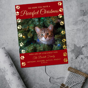 Purrrfect Christmas   Cat Photo Real Foil Holiday Postcard