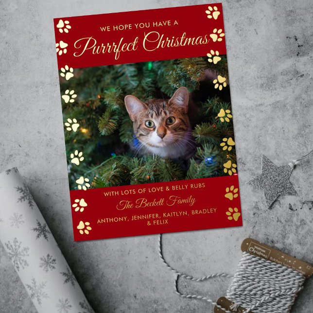 Purrrfect Christmas | Cat Photo Real Foil Holiday Postcard (Creator Uploaded)