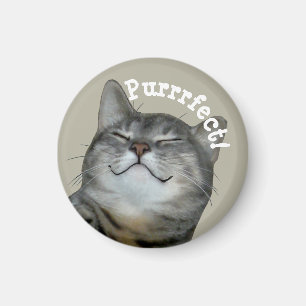 Purrrfect Smiling smug kitty cat Magnet