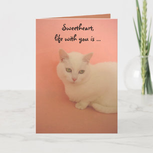 PURRRR Contentment Holiday Card