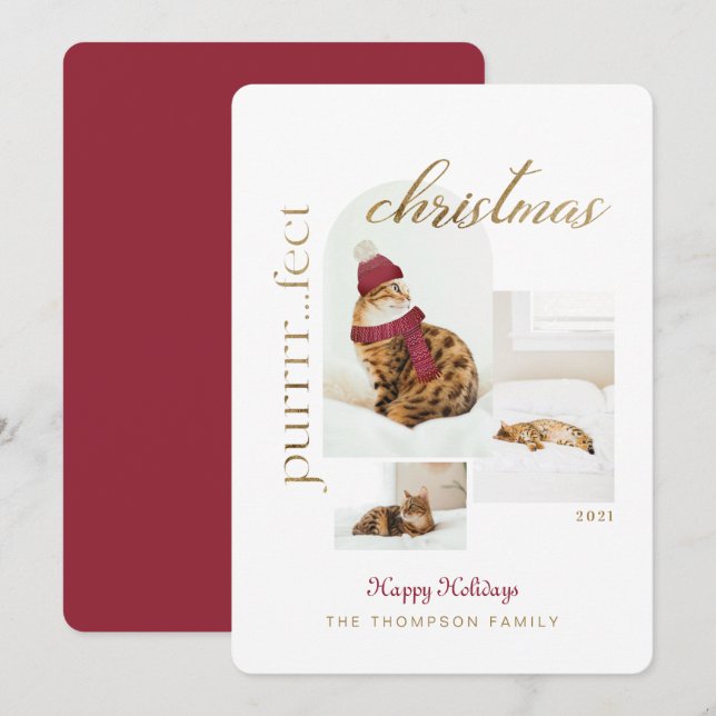 Purrrr..fect Christmas Fun & Cosy Cat Three Photo Holiday Card (Front/Back)