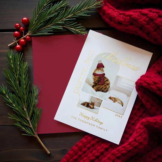 Purrrr..fect Christmas Fun & Cozy Cat Three Photo (Purrrr..fect Christmas Fun & Cozy Cat Three Photo Foil Holiday Card)