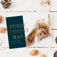 Purry Christmas Cat Photo Deep Green Gold