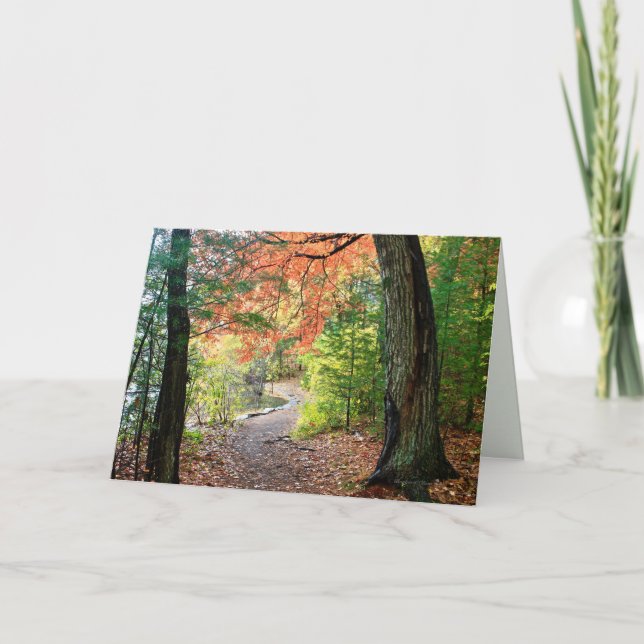 Pursue a Path of Love and Reverence :Greeting Card (Front)