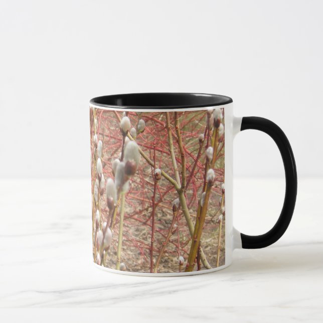 pussy willows in springtime mug (Right)