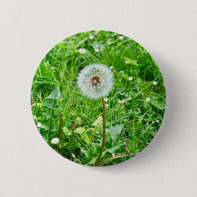 pustard trees on a meadow 1 6 cm round badge (Front)