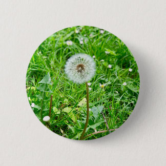 pustard trees on a meadow 1 6 cm round badge