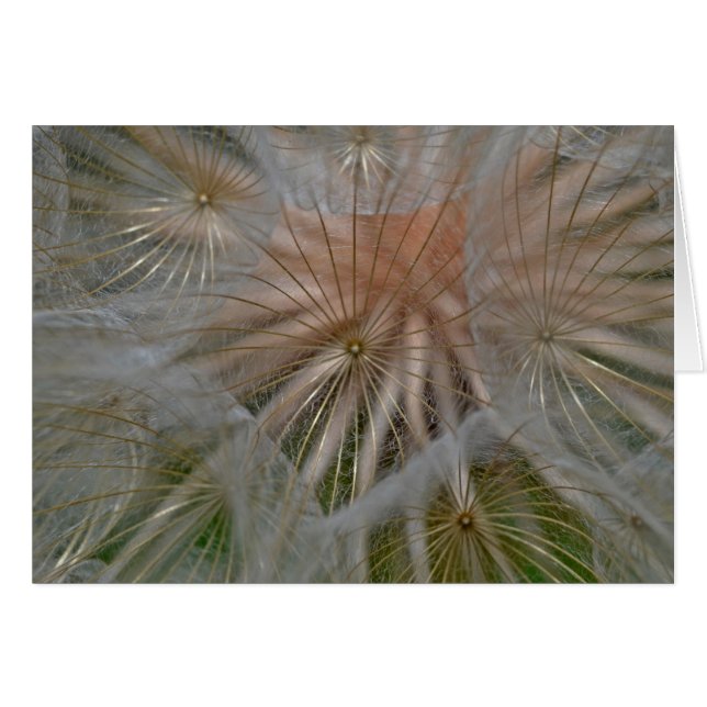 ‘Pusteblumen umbrella’ by mysteryella (Front Horizontal)