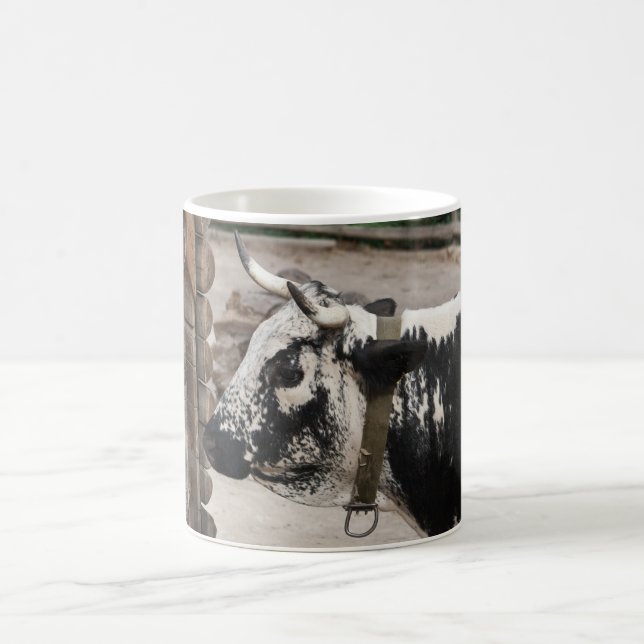 Pustertal Pied Cow Coffee Mug (Center)