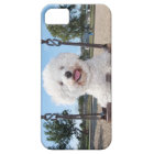 Put In Your Own Photo iPhone 5 Case