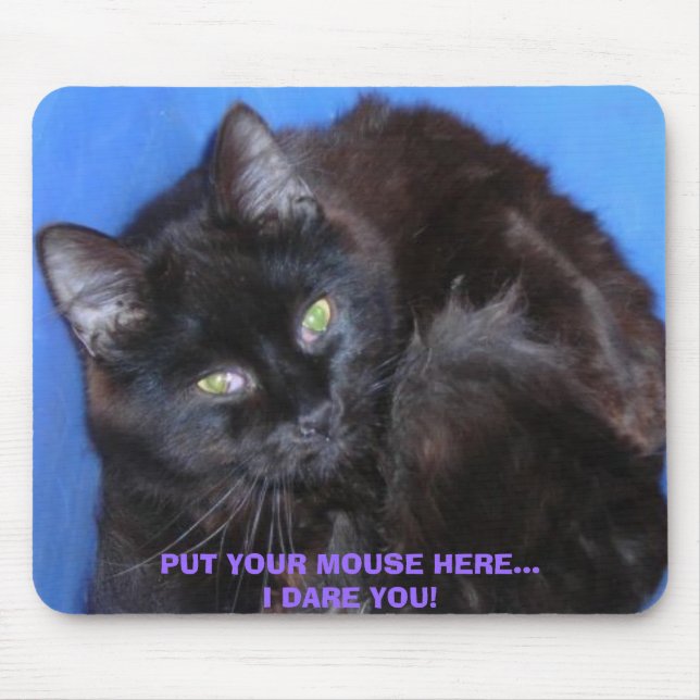 PUT YOUR MOUSE HERE...I DARE YOU! CHOCOLATE CAT PAD (Front)