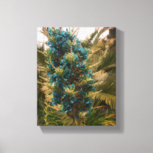 Puya Berteroniana #1 Canvas Print