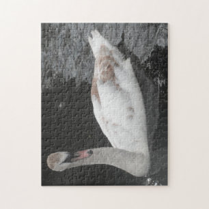 Puzzle Baby Swan Swimming