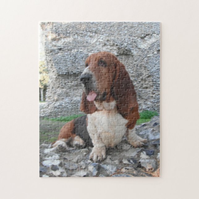 Puzzle Basset Hound Visiting Castle (Vertical)