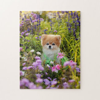 Puzzle - Bella Pomeranian Secret Garden