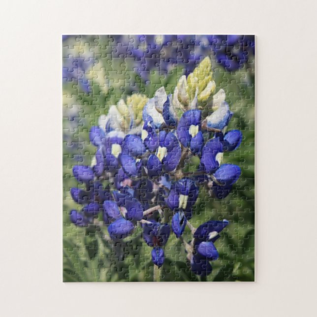 Puzzle Bluebonnet (Vertical)