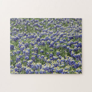 Puzzle Bluebonnet field