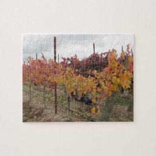 Puzzle: California Vineyard before Harvest in Nov Jigsaw Puzzle