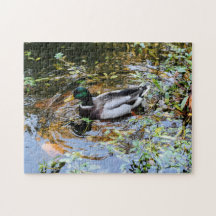 Puzzle con anatra  nello stagno Duck puzzle in th