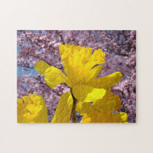 PUZZLE Daffodil Flowers Pink Blossoms nature