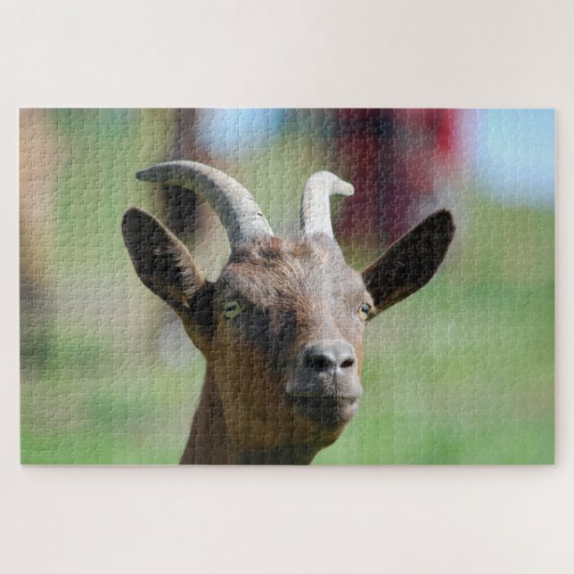 puzzle _ goat (Horizontal)