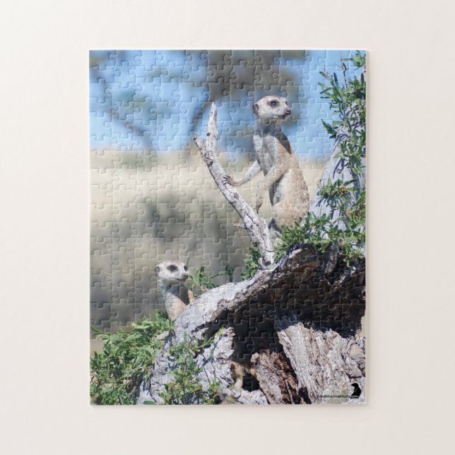 Puzzle - Meerkat Sentinels (Vertical)