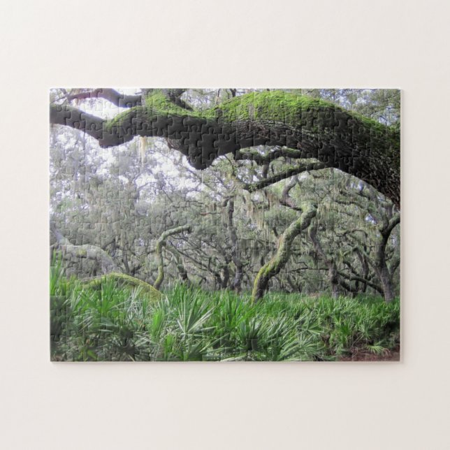 Puzzle of Cumberland Island Forest (Horizontal)