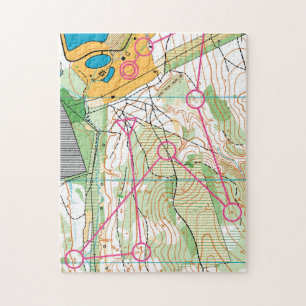 Puzzle - Orienteering map