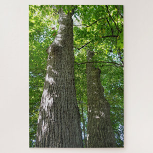 Puzzle over 1,000 pieces, Towering Trees