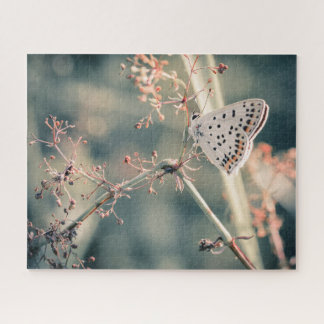 Puzzle Papillon 520 pcs