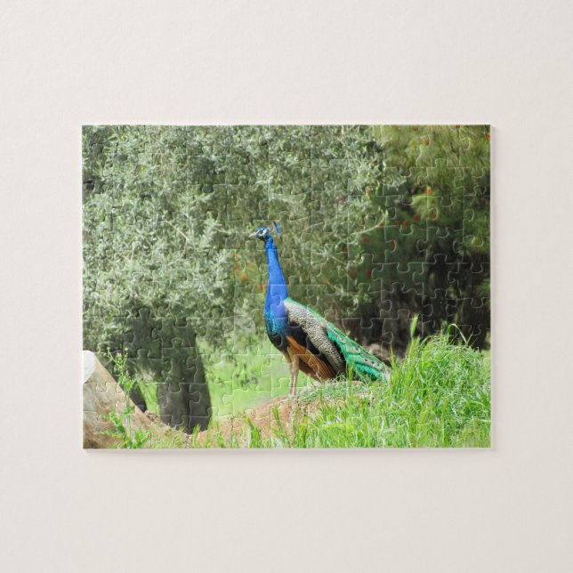 Puzzle - Peacock on the hill (horiz.) (Horizontal)